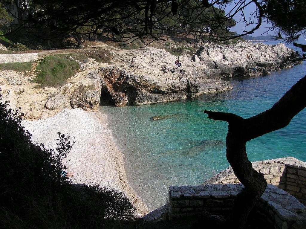 Villa Lumare - 100M From The Sea Apartment *